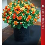 گلفروشی پالیز