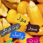 لوازم ماهیگیری شکار کمپینگ  کمپ ساری