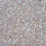 موزاییک و واش بتن امید