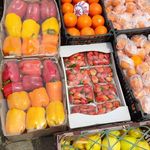 میوه سرای باغ بهشت بابا علی خلیلی