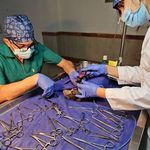 کلینیک دامپزشکی پوست و  چشم دکتر دبیری