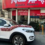 گلفروشی پالیز