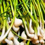 سبزی مارکت عطرریحون