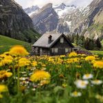 املاک حکیمیه مردآبادی