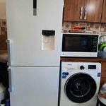 سمساری اشکان2