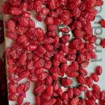 خشکبار لقائیان