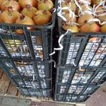 بار فروشی برادران محمد شفیعی  و مراد نوری