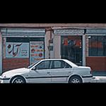 پخش کاغذ دیواری