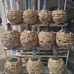 عرقیات فاخر