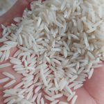 برنج صدری هاشمی میانه