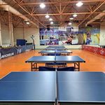 باشگاه پینگ پنگ_ آموزش تنیس روی میز
