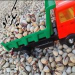 خشکبار پسته ومغزپسته نیکزاد