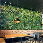 اجرای فضای سبز