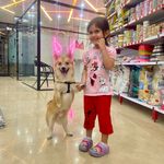 کلینیک دامپزشکی رد کارپت