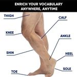 انگلیسی با اشکان تدریس آنلاین وحضوری