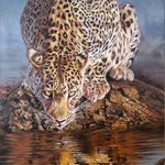 آموزشگاه طراحی، نقاشی و خوشنویسی (کلک شیدا)