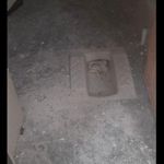 گروه خدماتی پاکیزه