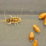 شرکت سمپاشی نانوفناوران (ولنجک)