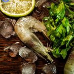 هلدینگ برتاو