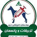 بیمارستان دامپزشکی شبانه روزی درین