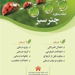 سید مرتضی احمدی منش، روانشناس در لاهیجان