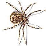 شرکت سمپاشی نانوفناوران (ولنجک)