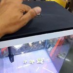 اکواریوم و ماهی تزئینی ستاره