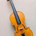 آموزش ویولون الناز شهرجردی