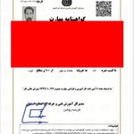 گواهی کسب‌وکار برای دپارتمان هوش مصنوعی پایا