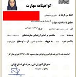 مدرک فنی و حرفه ای