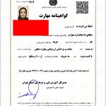 گواهی کسب‌وکار برای مرکزتخصصی فیشال وپاکسازی پوست آزیتا نوری
