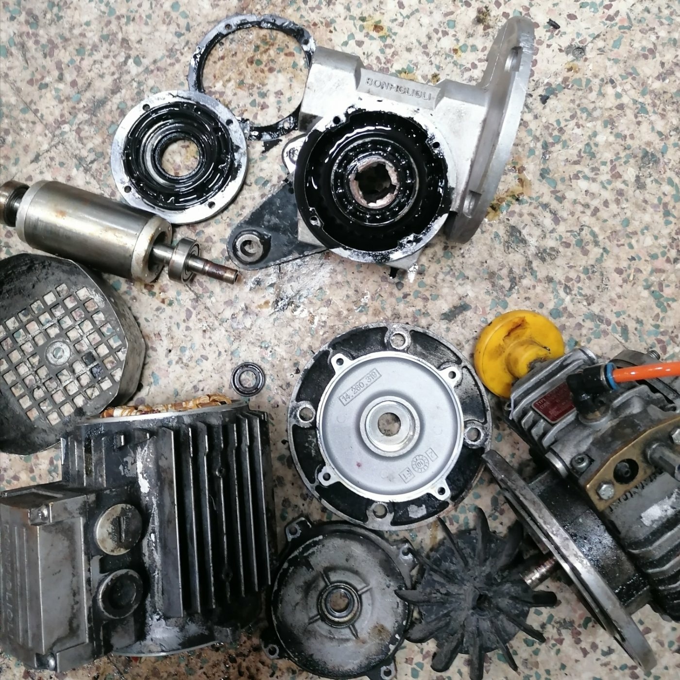 سعید کریمی قلعه تکی