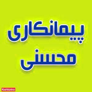 پیمان کاری محسنی