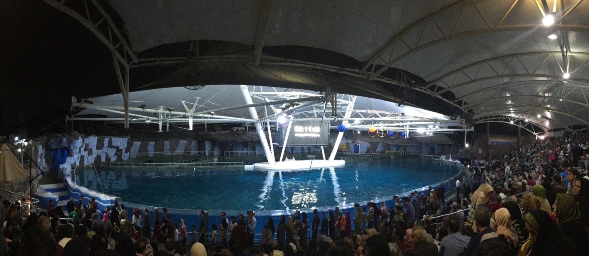 پارک دلفین کیش