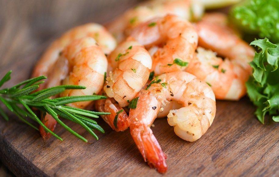 پخش پروتئین و میگو مهدی