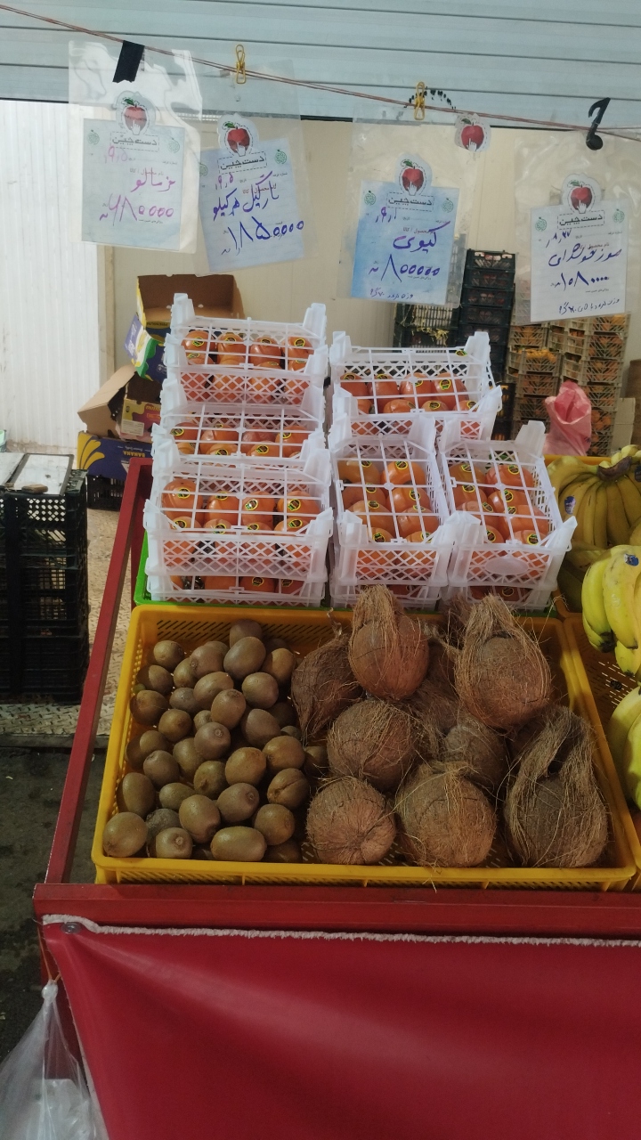 میوه و تره بارشیخ صندوق