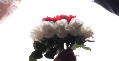 عکس و تصویر شاه رخ - منصور جوزی