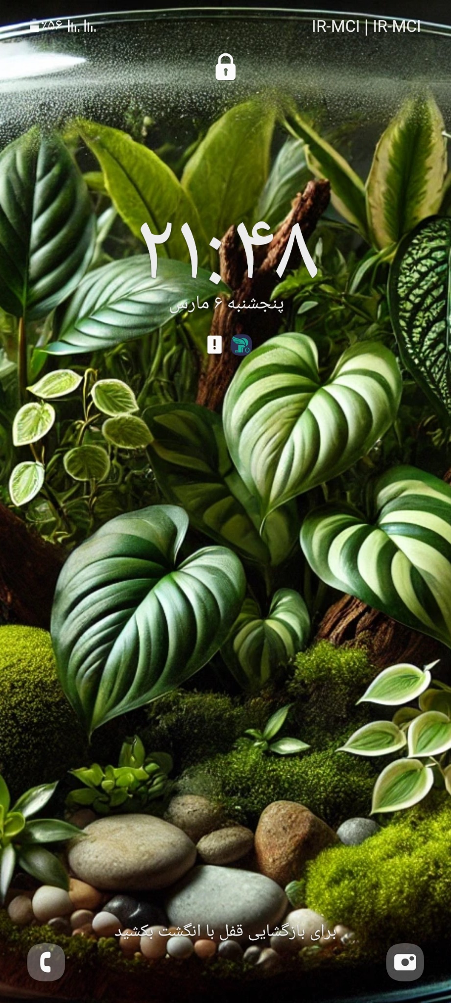 دنیای سبز باغ شیشه ای (تراریوم)