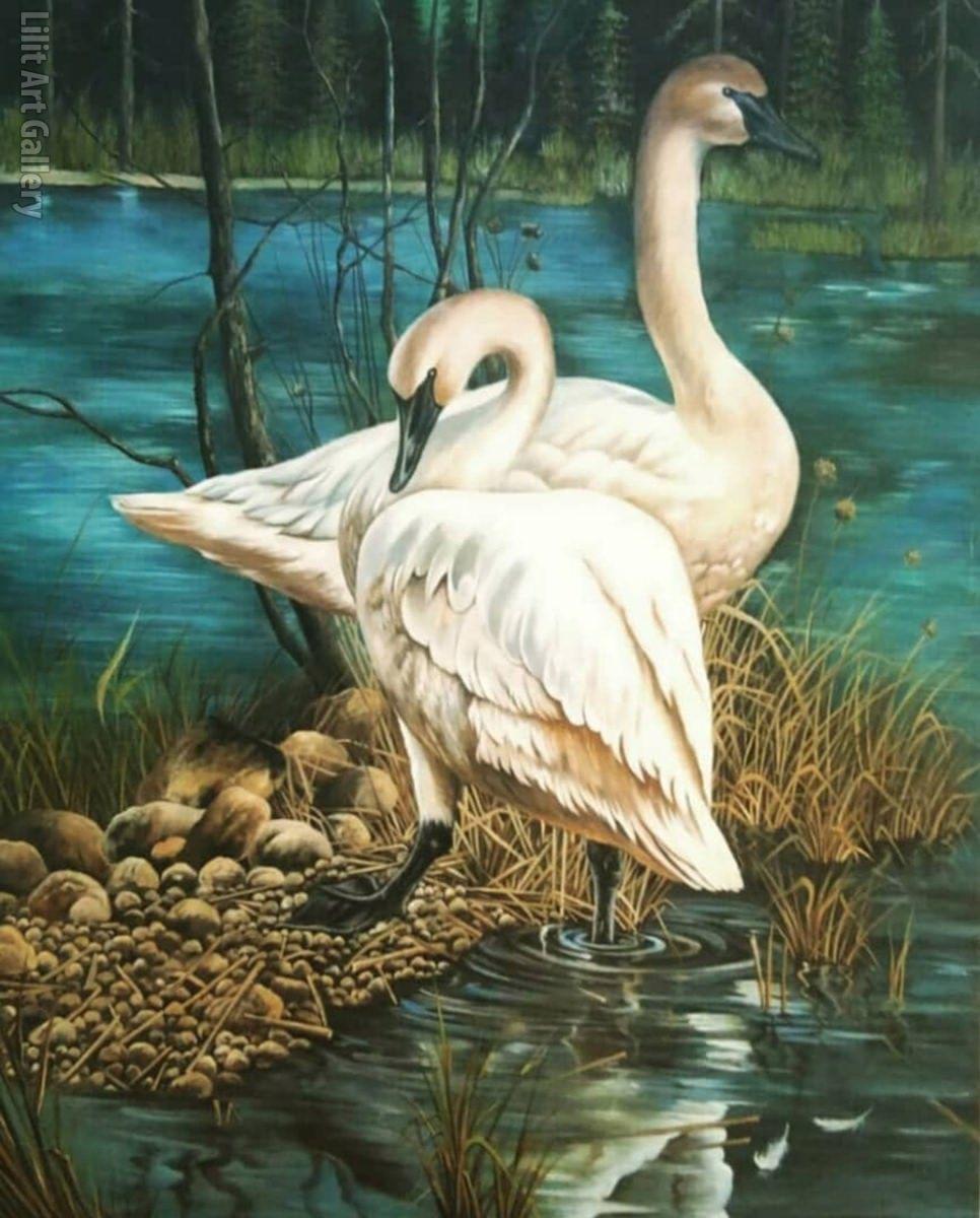 رنگ امیزی دیوارنویسی ونقاشی سودایی