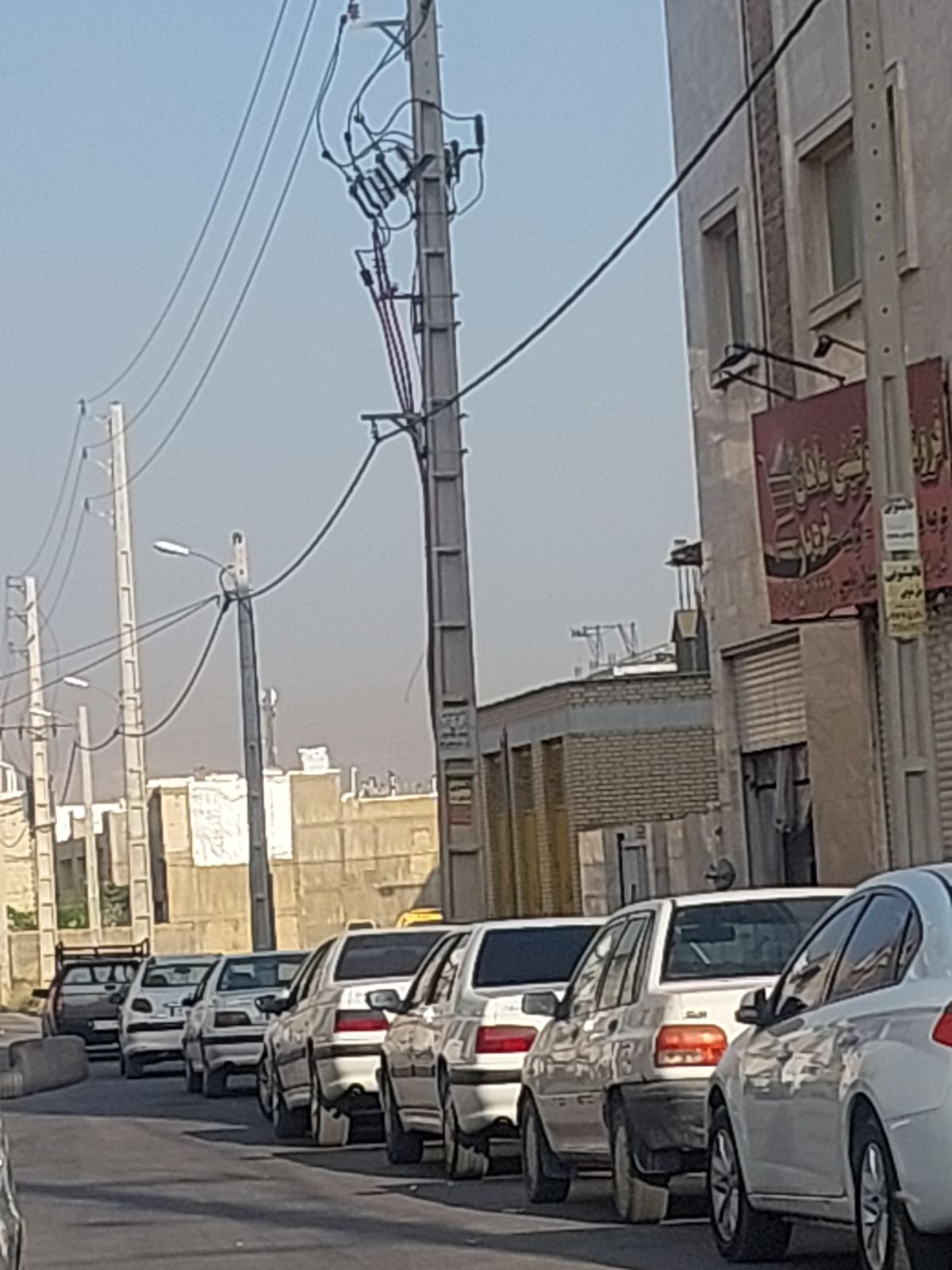 فروشگاه مرغ و پروتئین ماهان