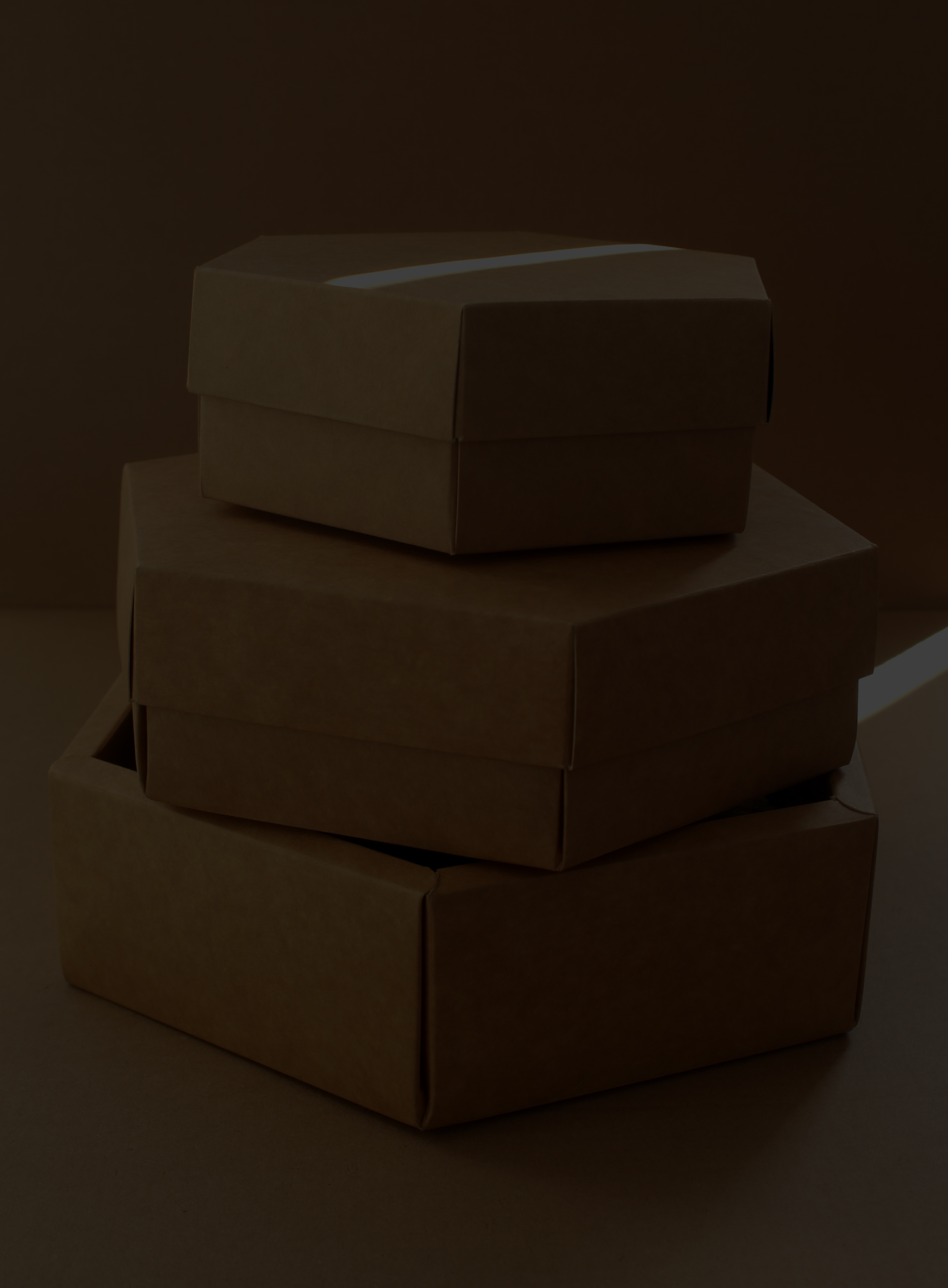 کارتن سازی آذین فیدار پایتخت