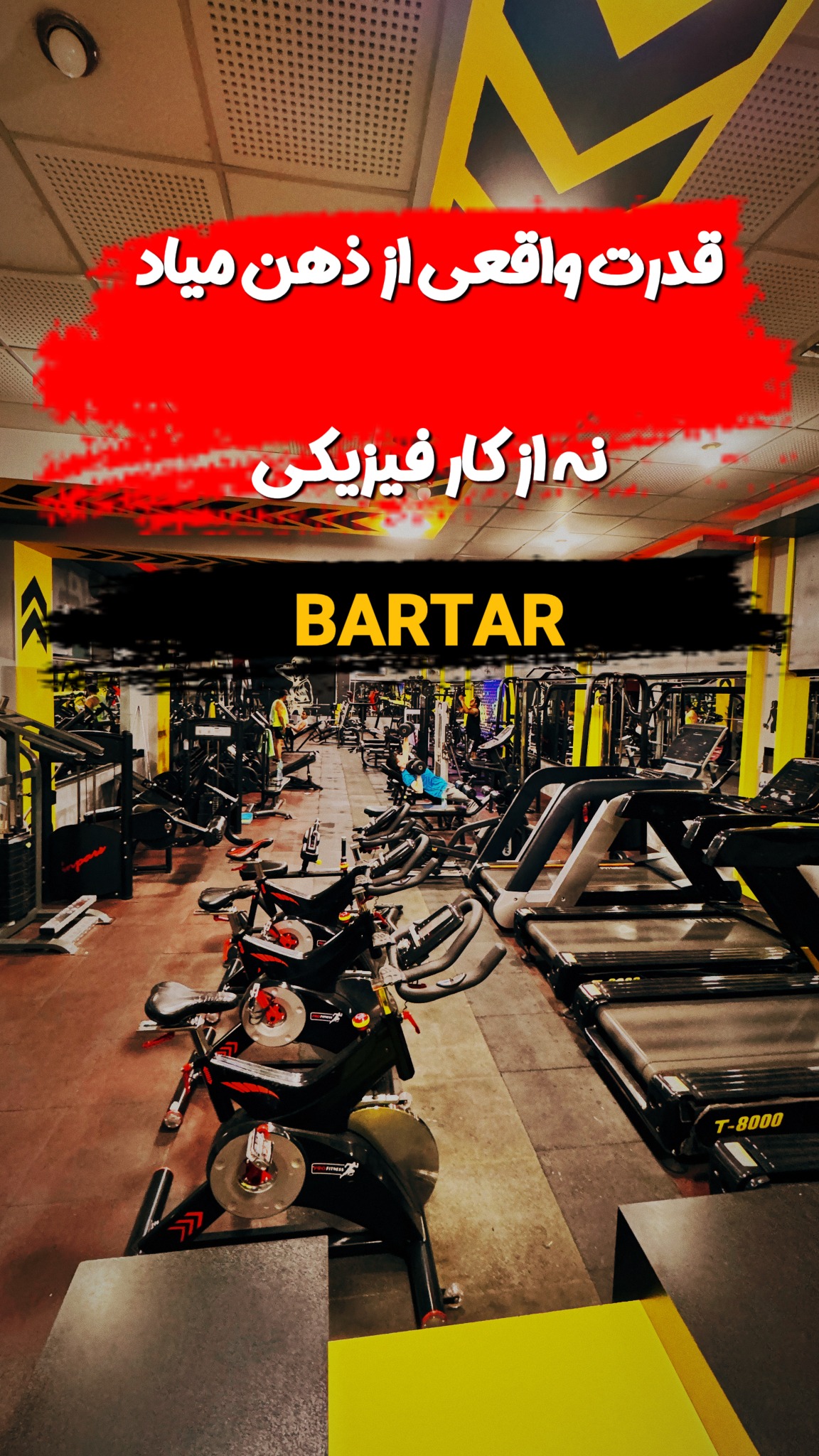 باشگاه ورزشی برتر