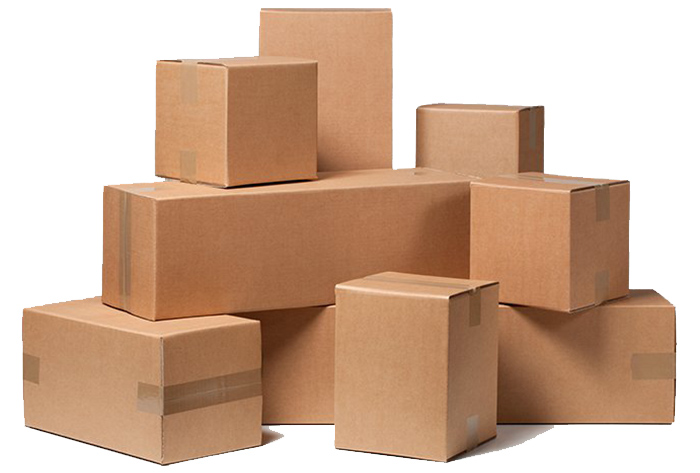 کارتن سازی کارینا