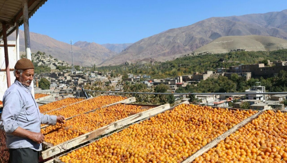 خشکبار مزینانی
