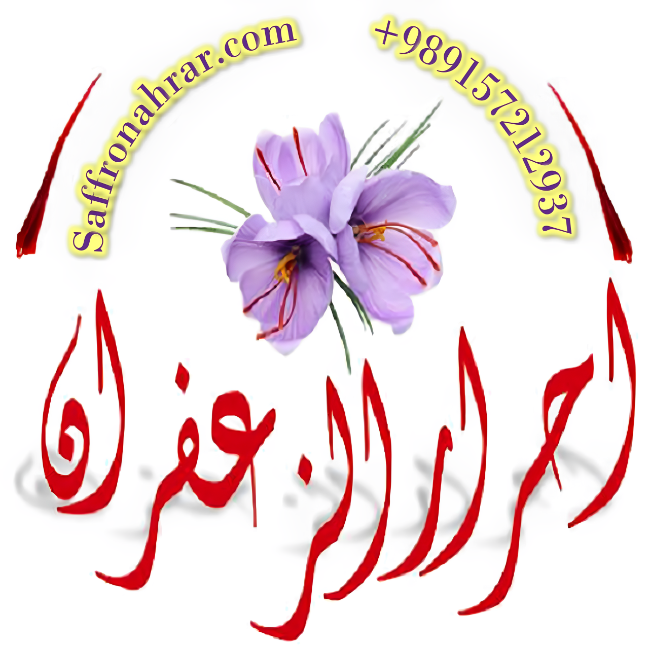 احرار الزعفران