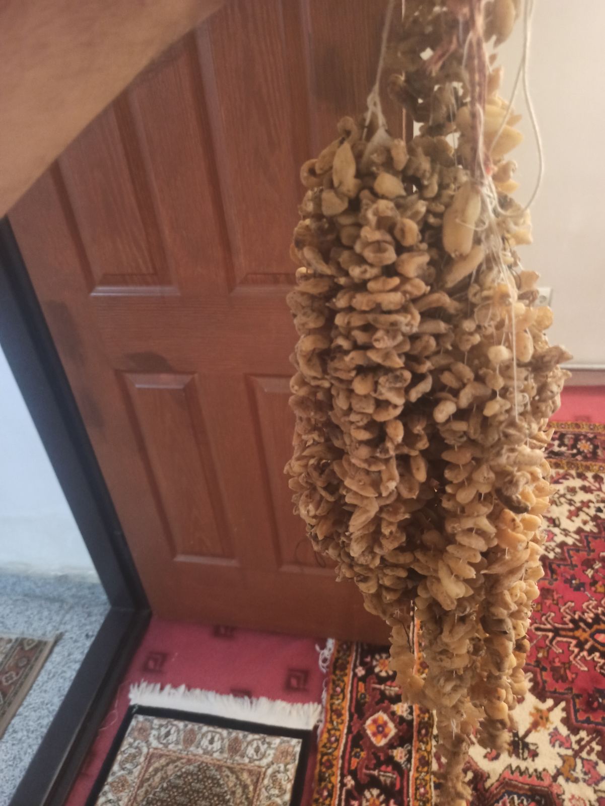 خرید فروش ثعلب