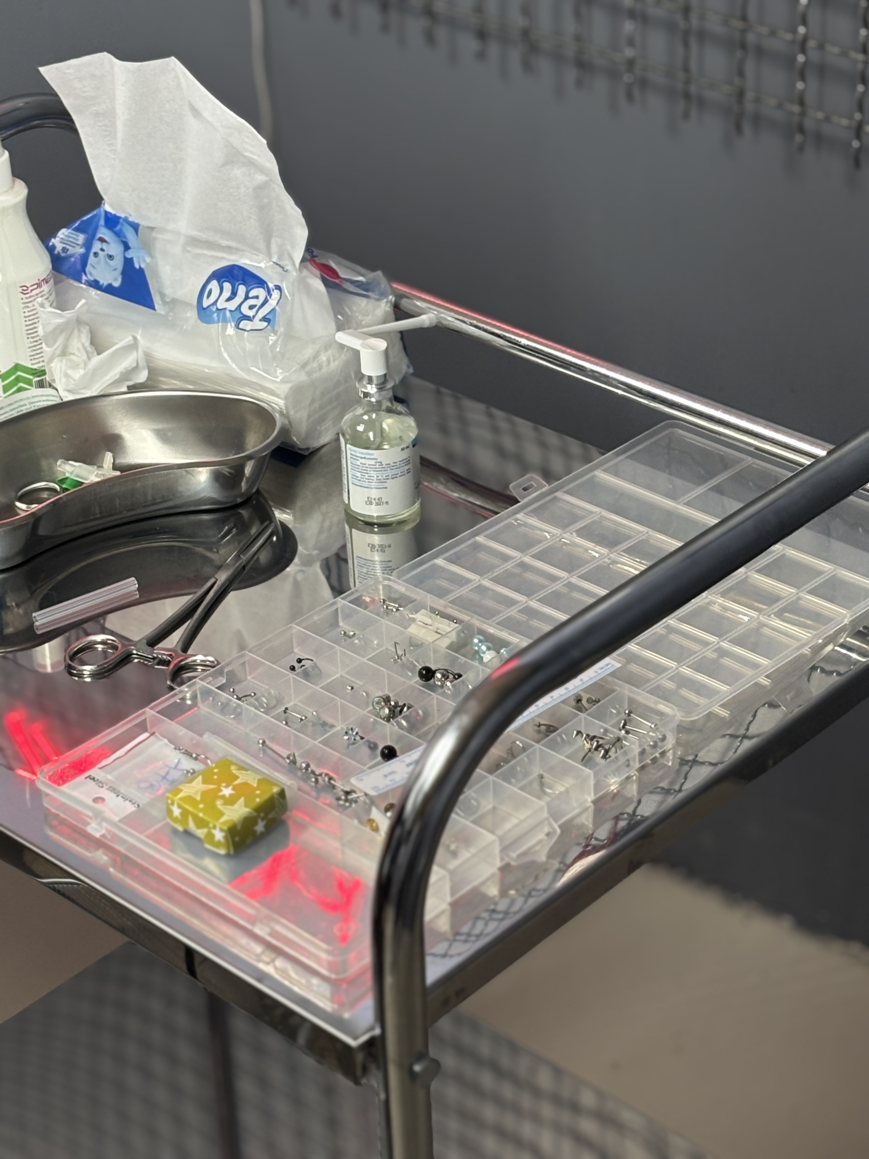 خدمات تخصصی و آموزش تتو بدن ملیسا