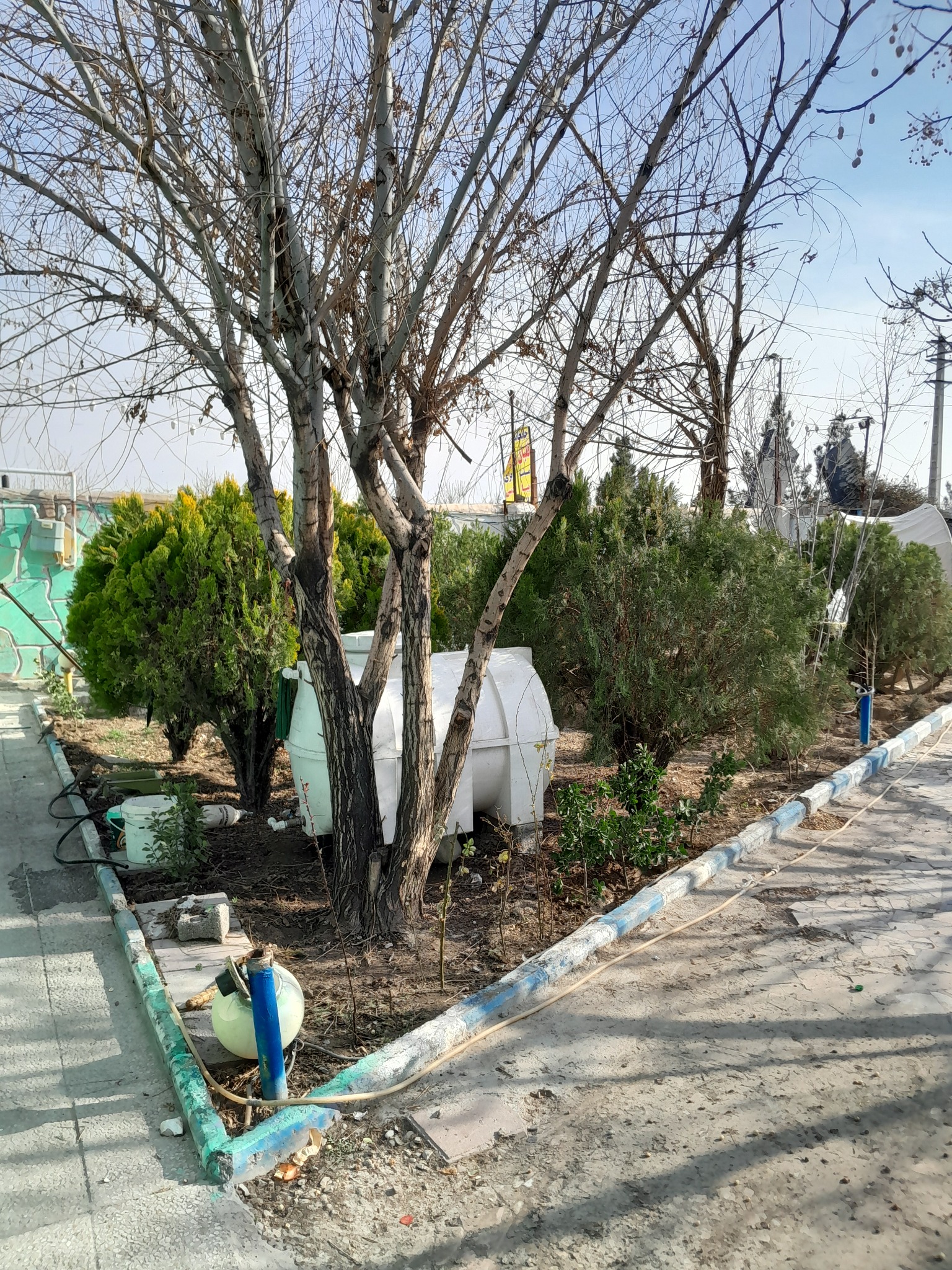 باغچه رستوران سمند