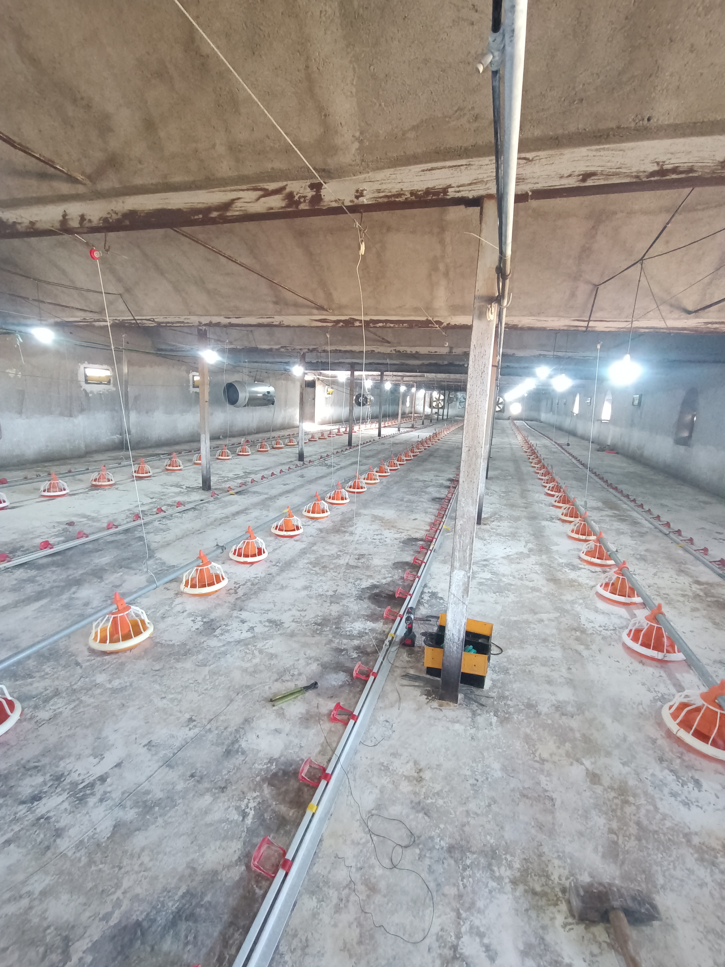 تجهیزات مرغداری علی محمدی