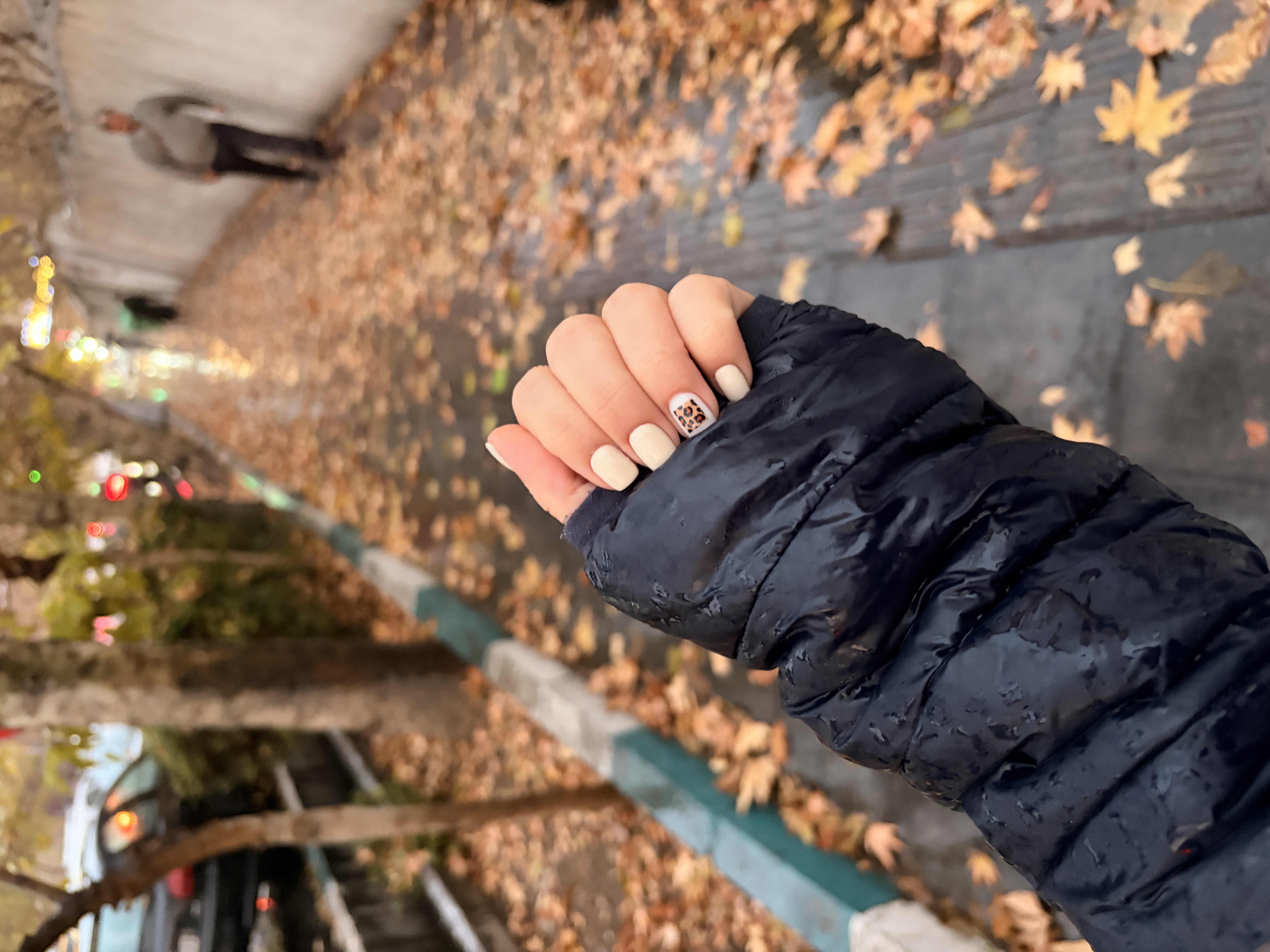 خدمات تخصصی ناخن فریماه